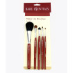 Makeup Brush Set (Set of 5)