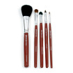Makeup Brush Set (Set of 5)