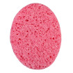 Face Sponge
