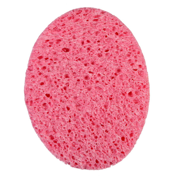 Face Sponge