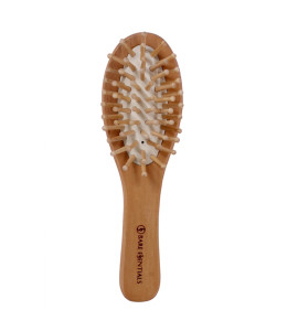 Detangling Hair Brush